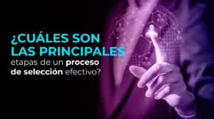 ¿Cuáles son las principales etapas de un proceso de selección efectivo?